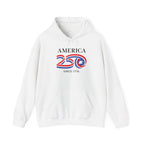 Eagle in 250 Happy Birthday USA Patriotic Pullover